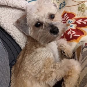 Meet your Posher, Anita